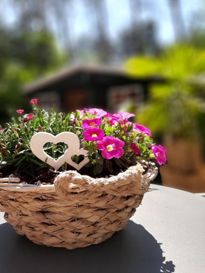 Secret Wellness Boszicht Villa Holten Ngoại thất bức ảnh